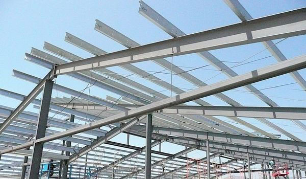 Purlins in Roof